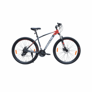 Toronto Horton 27.5 - 21 Speed