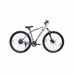 Toronto Horton 29 - Single Speed