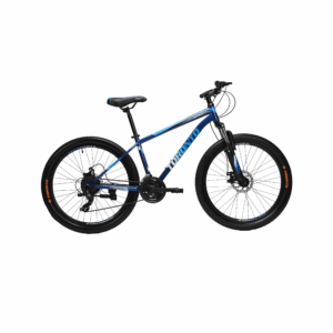 Toronto Maple 24 - 21 Speed