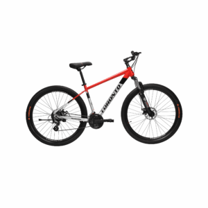 Toronto Niagara 27.5 - 21 Speed