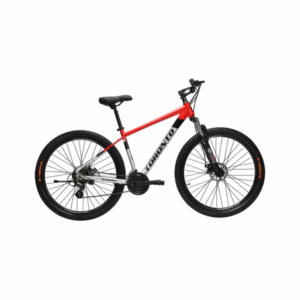 Toronto Niagara-29 - 21 Speed