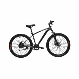 Toronto Thelon 24 -Single Speed - Grey