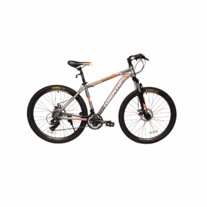 Toronto XC20 29 - 21 Speed